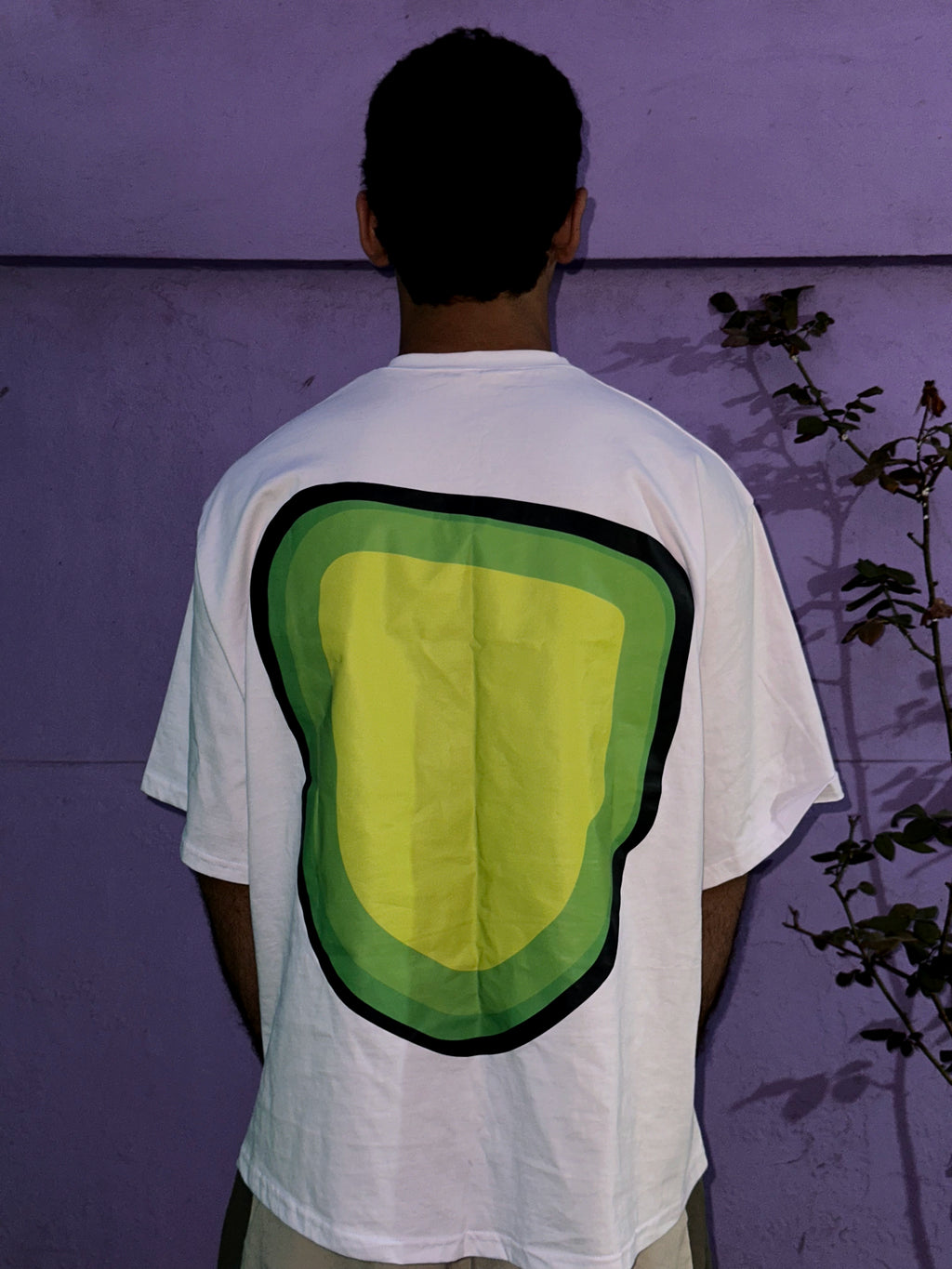 AVOCADINHO